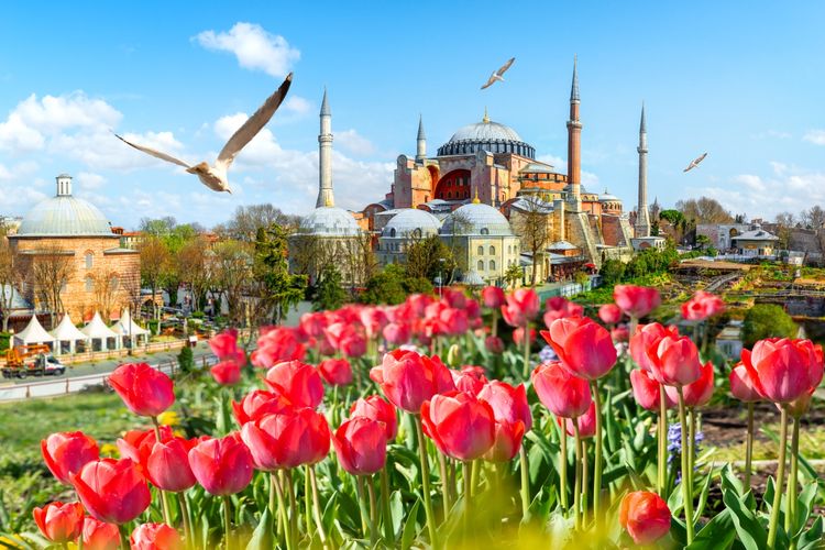 Eksplorasi Keindahan Taman Bunga di Istanbul, Turki 