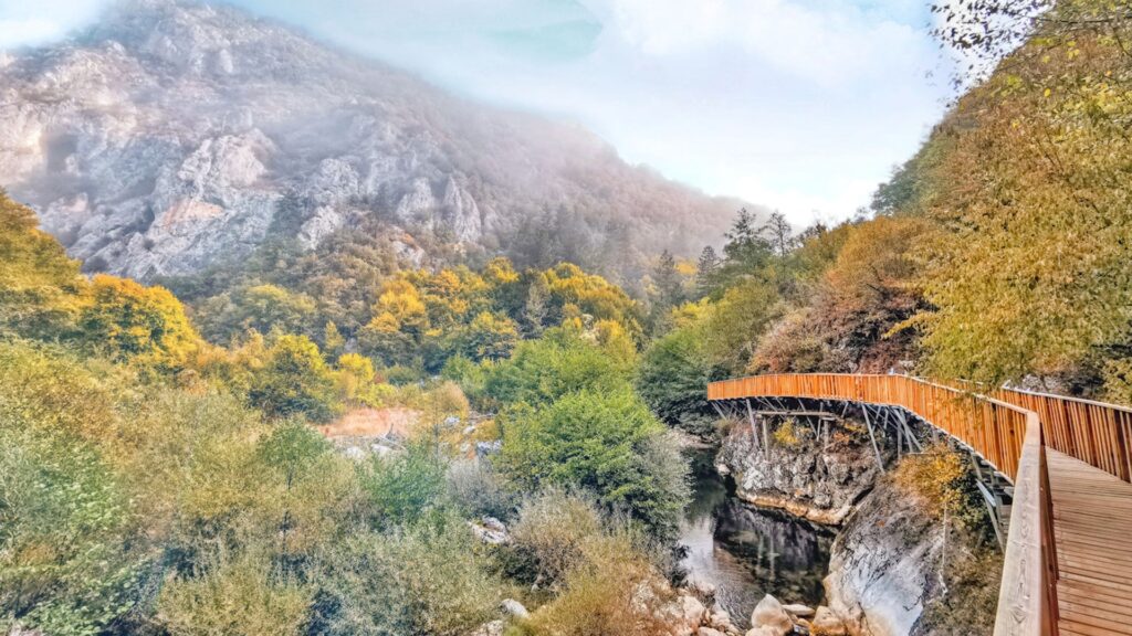 Menggali Kecantikan Taman Nasional Küre Dağlar di Turki 
