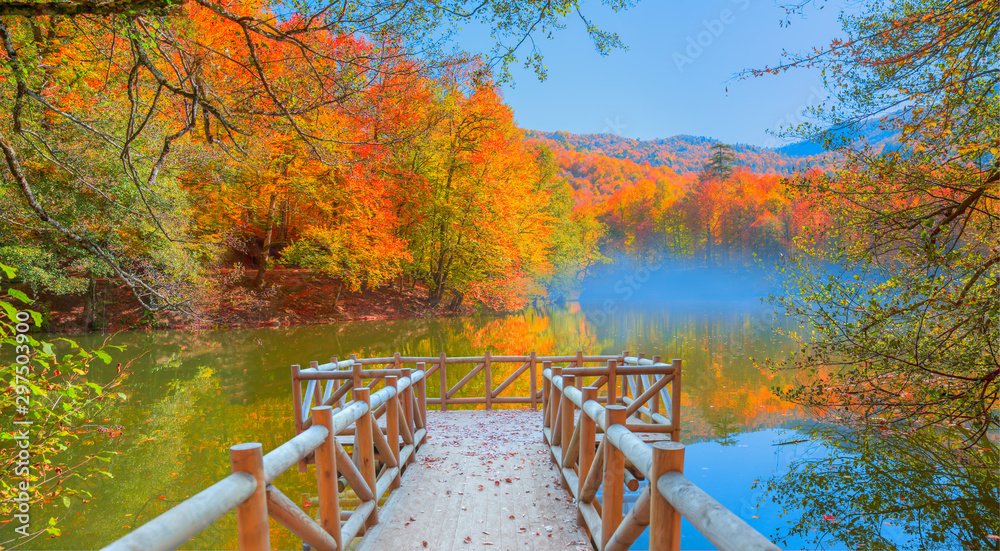 Menyelami Pesona Yedigoller National Park di Turki